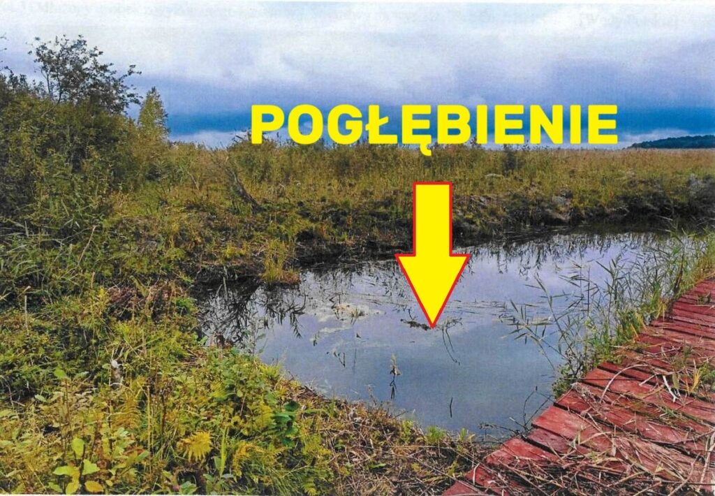 Prace ziemne nad brzegiem jeziora Śniardwy w obszarze chronionym