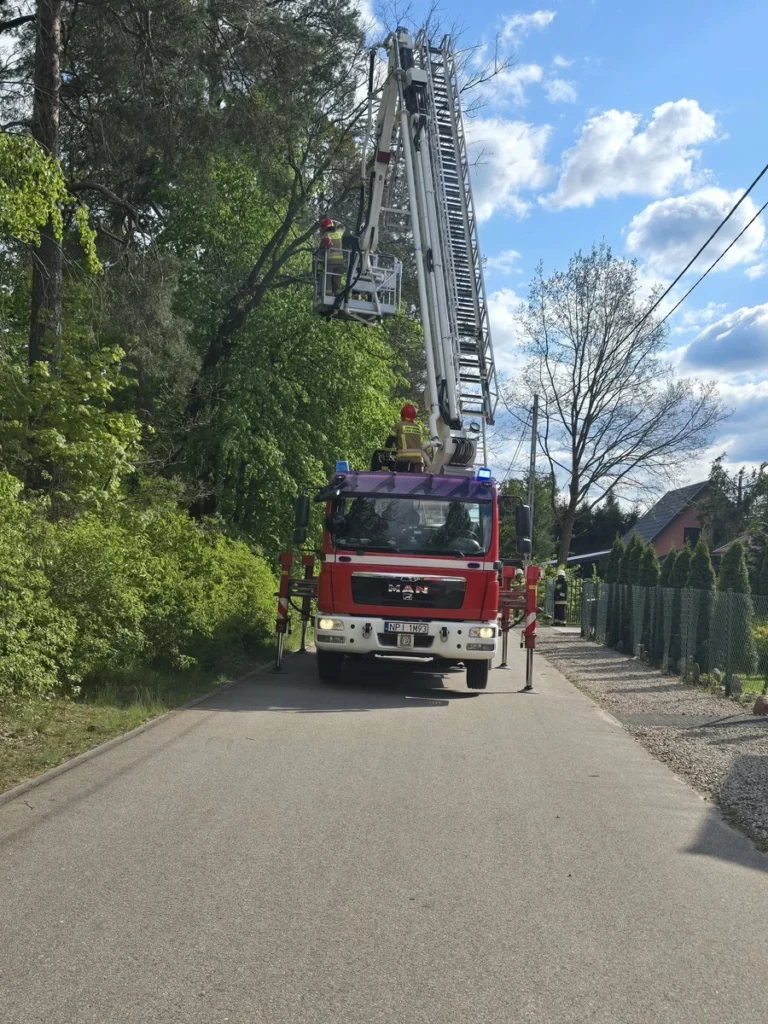 Strażacy usuwający niebezpieczne drzewo nad drogą w Pogobiu Średnim – akcja z użyciem podnośnika