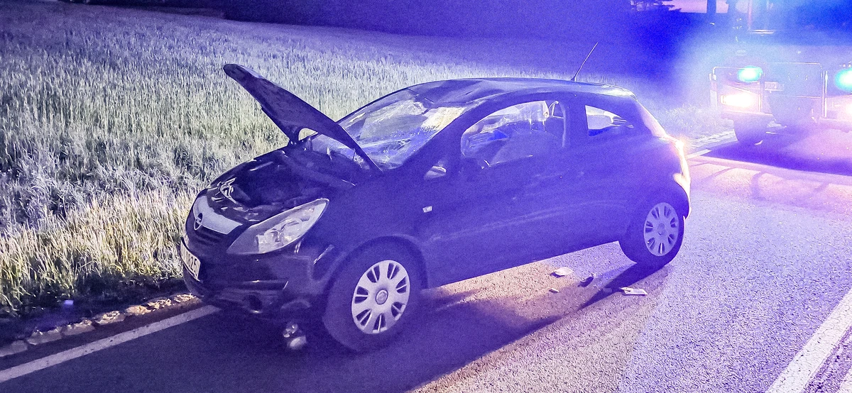 Wypadek samochodu osobowego po zderzeniu z łosiem – nocna akcja strażaków na DK58 w okolicy Białej Piskiej
