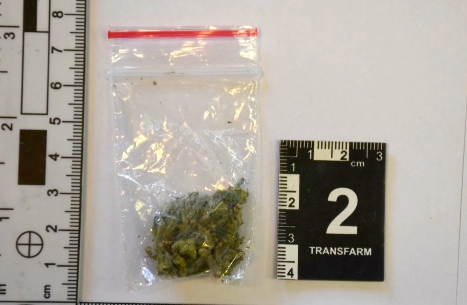 Zabezpieczona marihuana znaleziona w plecaku zatrzymanego 36-latka z Białej Piskiej