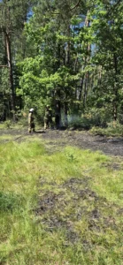 Strażacy gaszący pożar ściółki leśnej w miejscowości Nitki w gminie Biała Piska – akcja gaśnicza w lesie