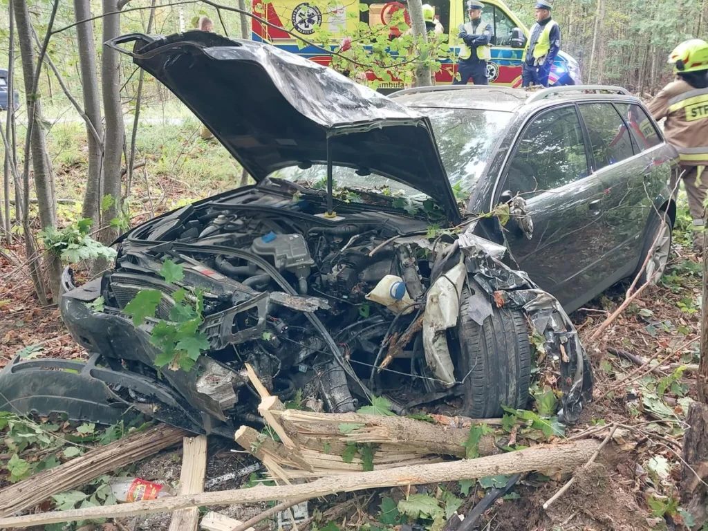 Samochód osobowy wypadł z drogi na trasie DK58 między Białą Piską a Piszem – interwencja służb ratunkowych
