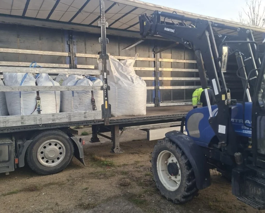 Dzielnicowy z Białej Piskiej zebrał 8,5 tony kasztanów dla Mai – wspólna akcja pomocy