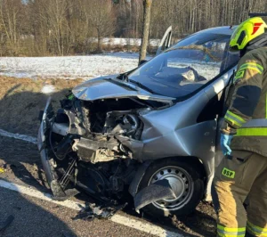 Wypadek na drodze między Orzyszem a Mikołajkami po zderzeniu z łosiem