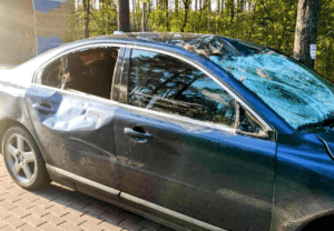 Uszkodzone Volvo po zderzeniu z łosiem stoi przy lesie.
