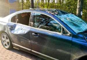 Uszkodzone Volvo po zderzeniu z łosiem stoi przy lesie.